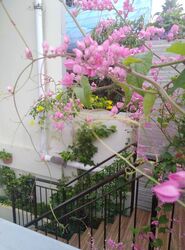 Nanyang Park (D19), Terrace #461473171